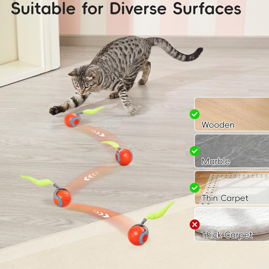 Interactive Self-Rolling Dog Ball - 2X1