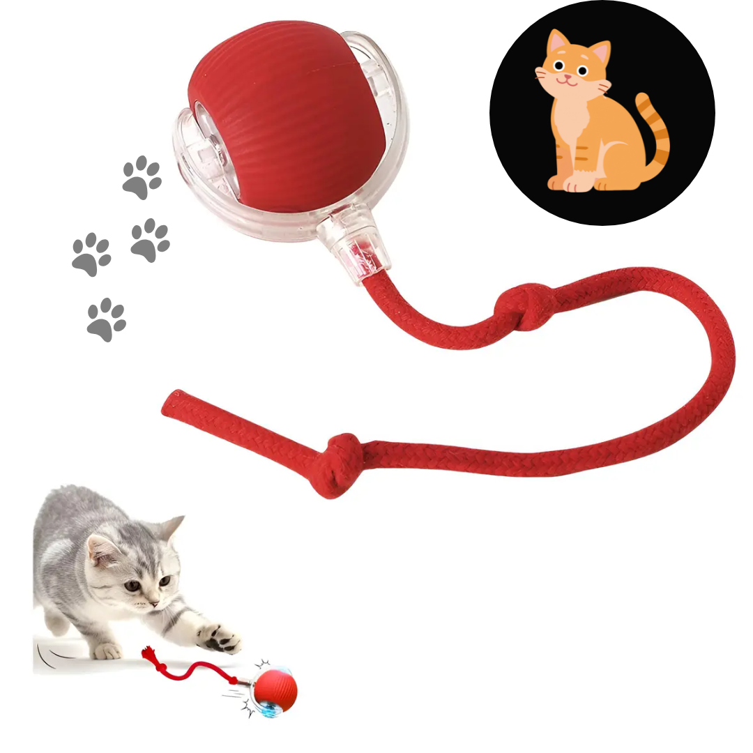 Interactive Self-Rolling Dog Ball - 2X1