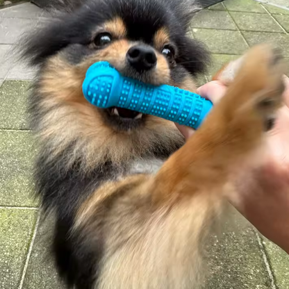 Dog Toothbrush Chew Toy - Durable Rubber Dental Care & Plaque Control Brush