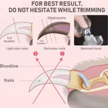 Professional Pet Nail Clipper - Built-in LED light included