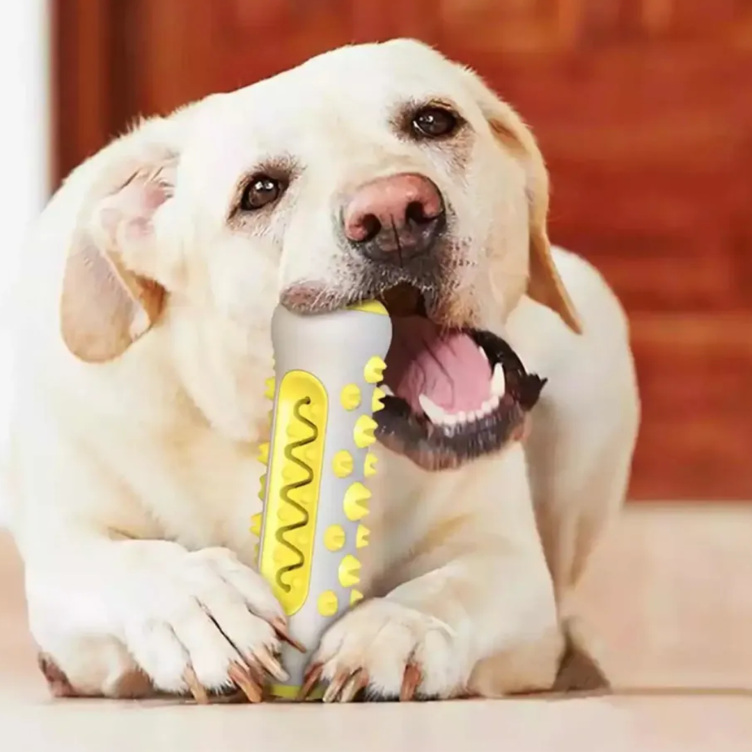 Dog Toothbrush Chew Toy - Durable Rubber Dental Care & Plaque Control Brush