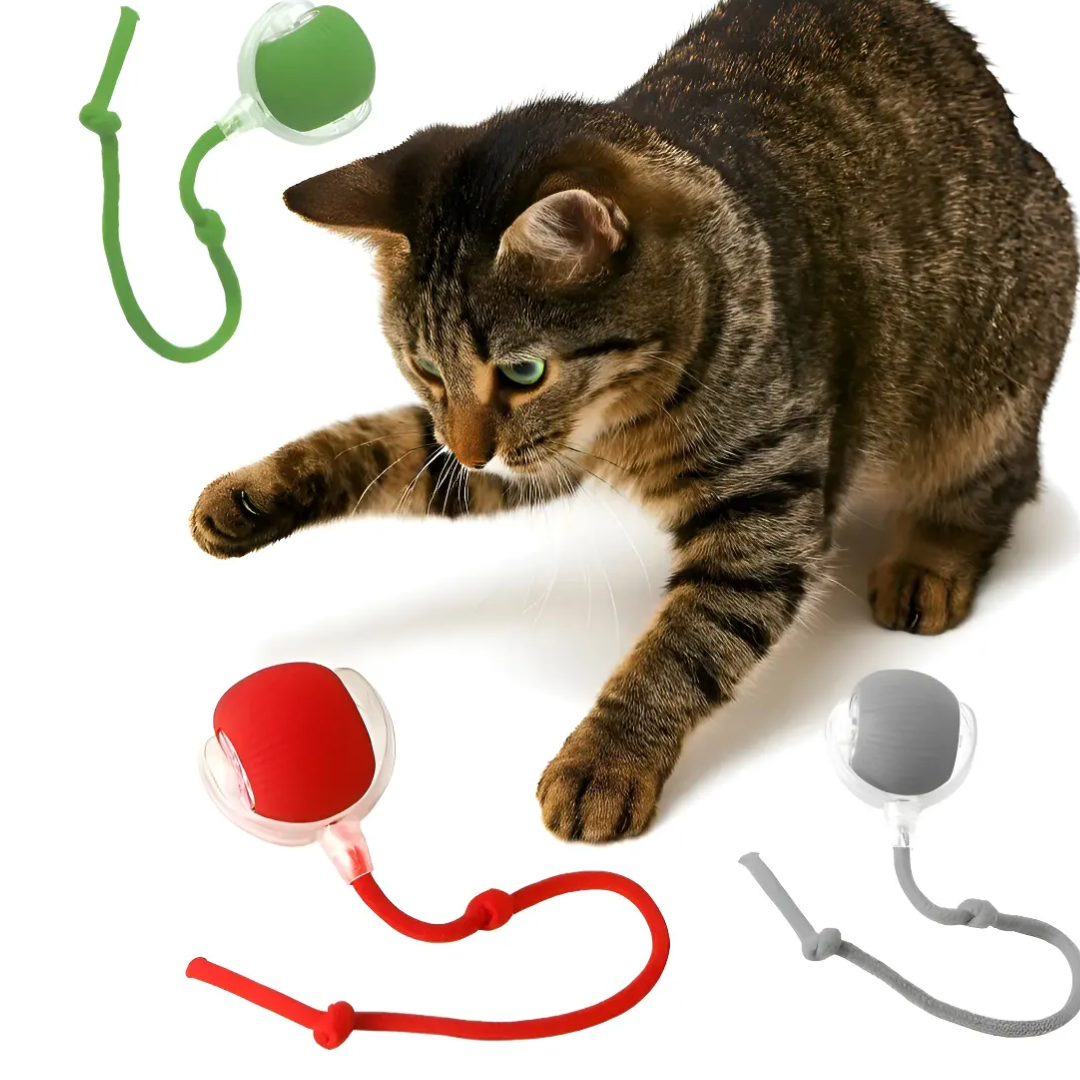 Interactive Self-Rolling Dog Ball - 2X1