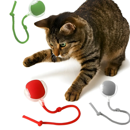 Interactive Self-Rolling Dog Ball - 2X1