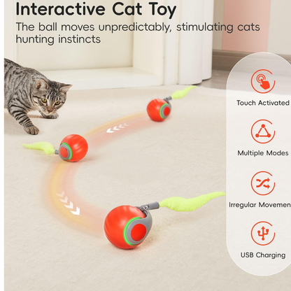 Interactive Self-Rolling Dog Ball - 2X1