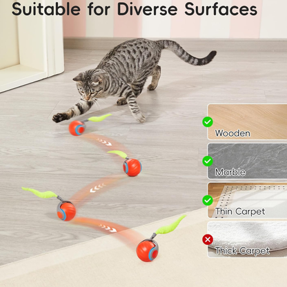 Interactive Self-Rolling Dog Ball - 2X1