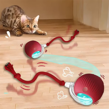 Interactive Self-Rolling Dog Ball - Automatic Obstacle Avoidance