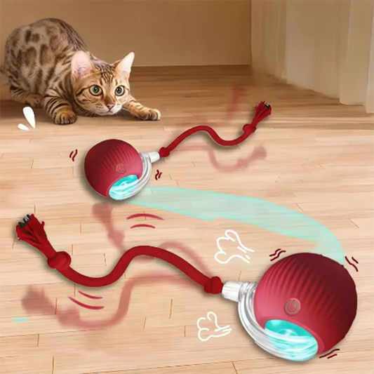 Interactive Self-Rolling Dog Ball - Automatic Obstacle Avoidance