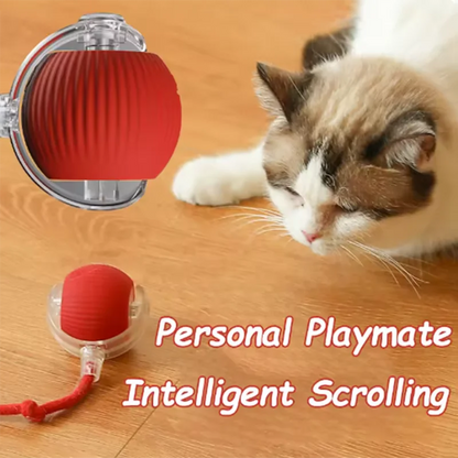 Interactive Self-Rolling Dog Ball - Automatic Obstacle Avoidance