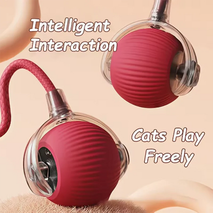 Interactive Self-Rolling Dog Ball - Automatic Obstacle Avoidance